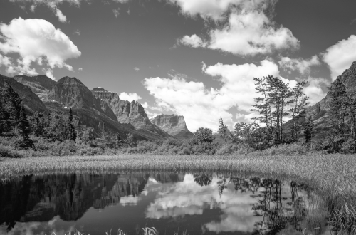 Montana