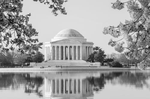 Washington D.C.